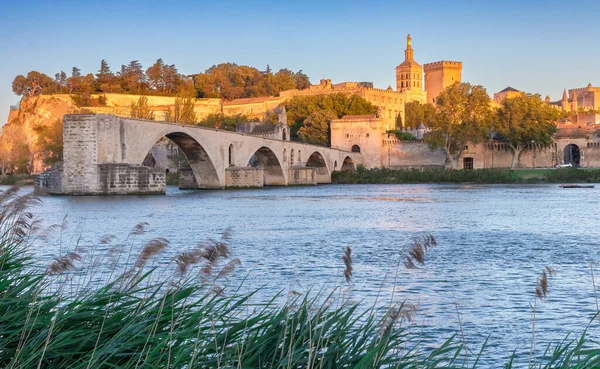 Belouet, Frelons et Guêpes sur Béziers